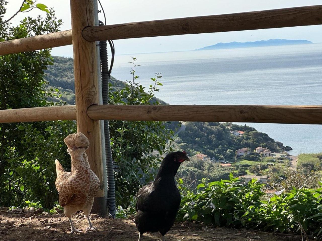 Agriturismo Paradisa Rio dellʼElba Εξωτερικό φωτογραφία
