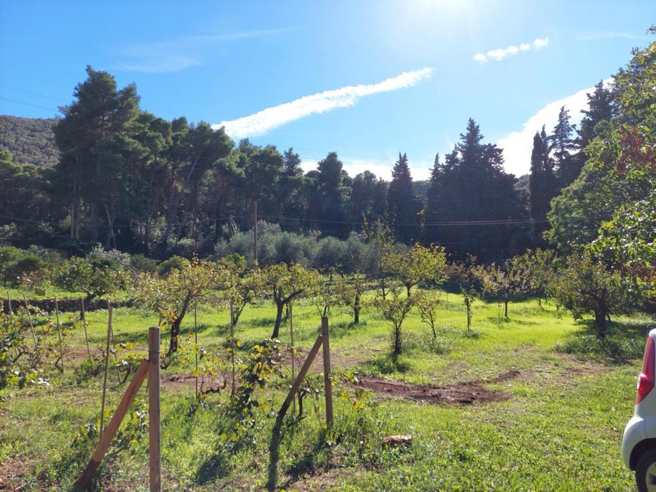 Agriturismo Paradisa Rio dellʼElba Εξωτερικό φωτογραφία