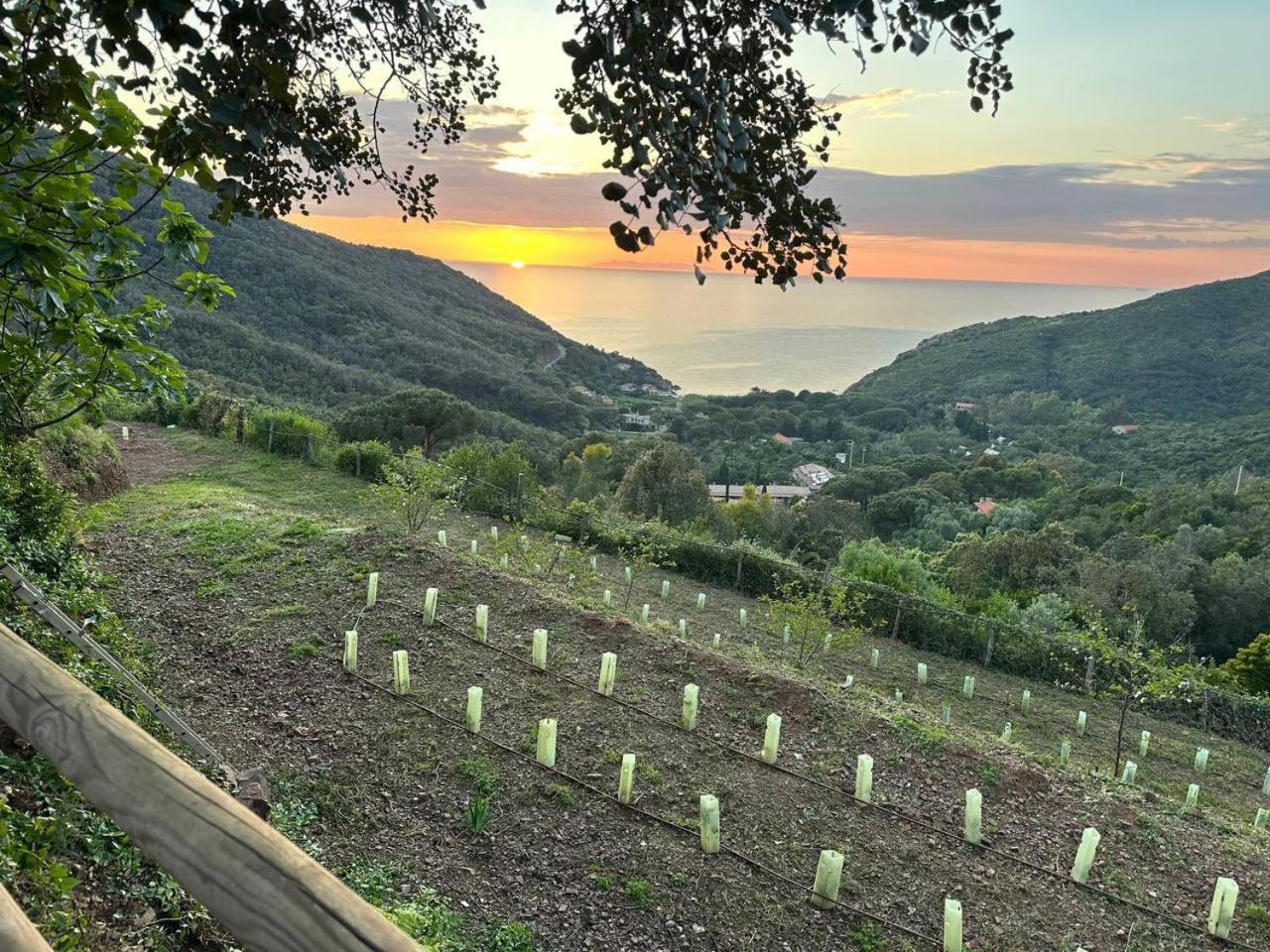 Agriturismo Paradisa Rio dellʼElba Εξωτερικό φωτογραφία